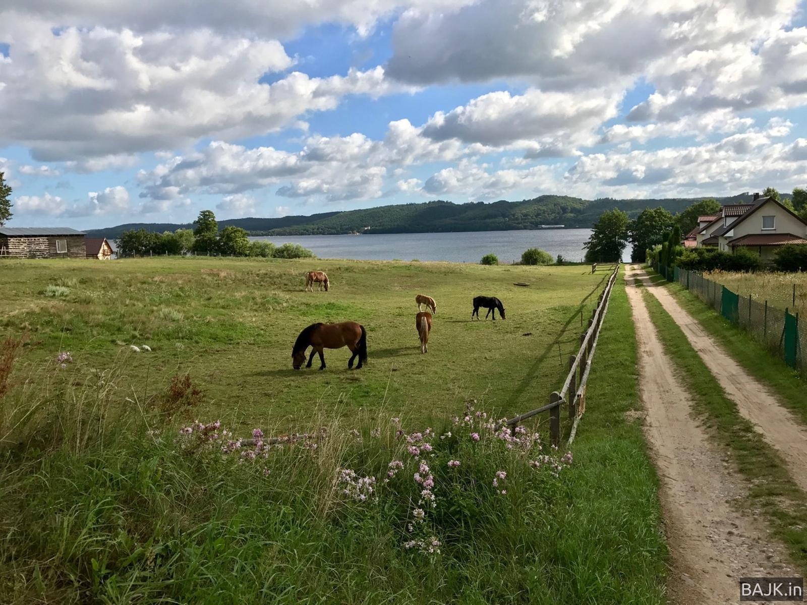 Wokół jeziora Żarnowieckiego