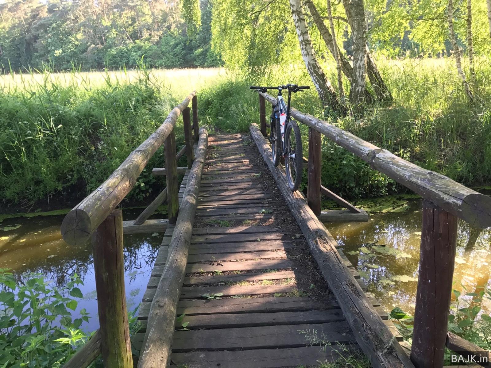 Wielkopolski Park Narodowy