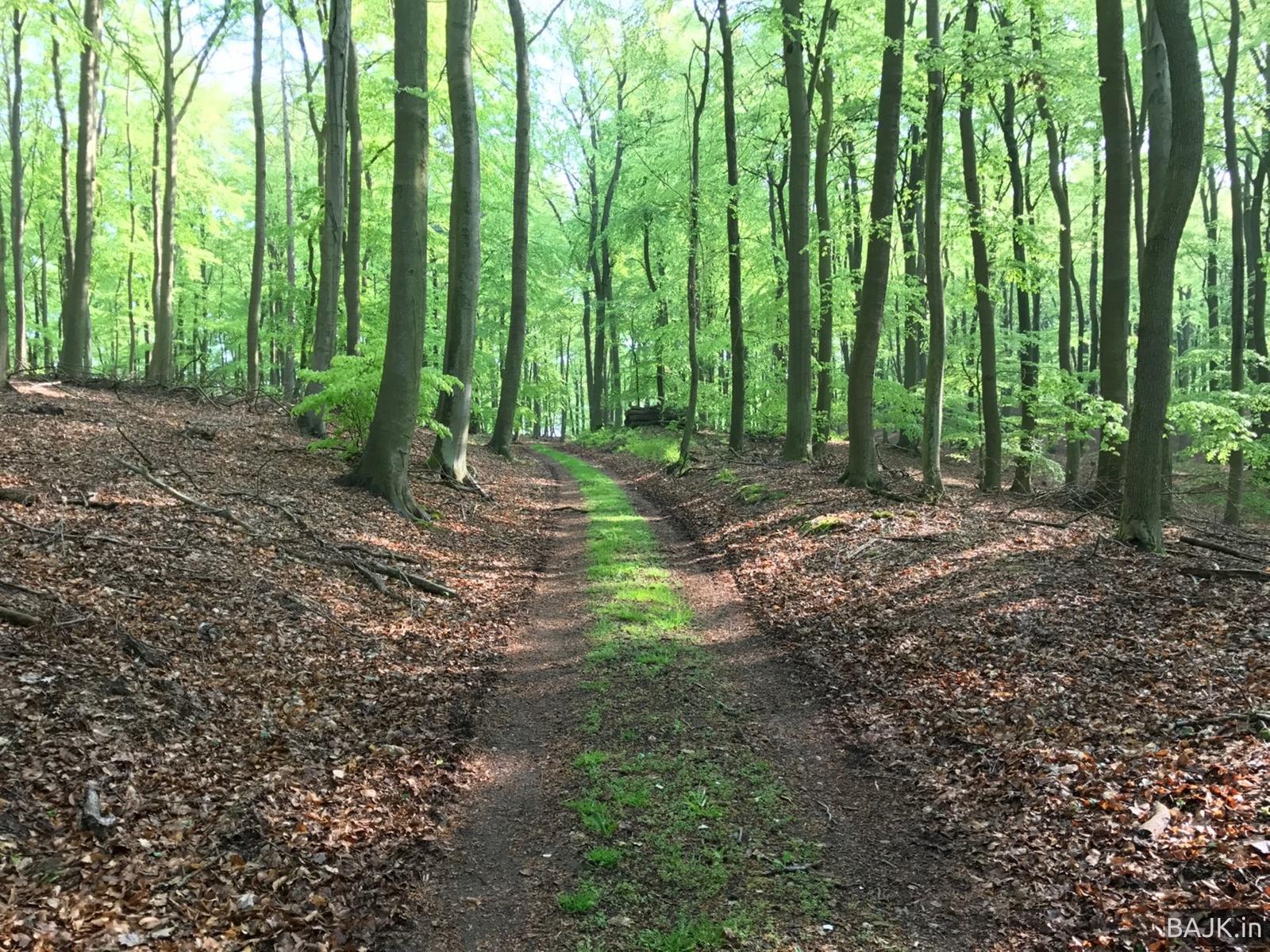 Świnoujście wzdłuż granicy PL-DE