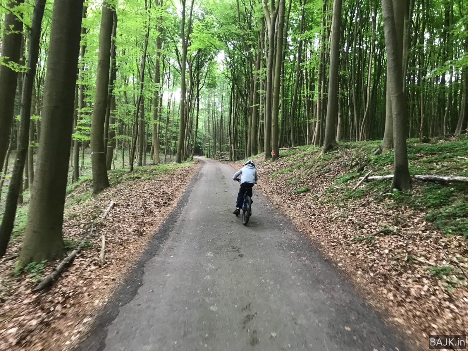 Wiosna w okolicach Świnoujścia