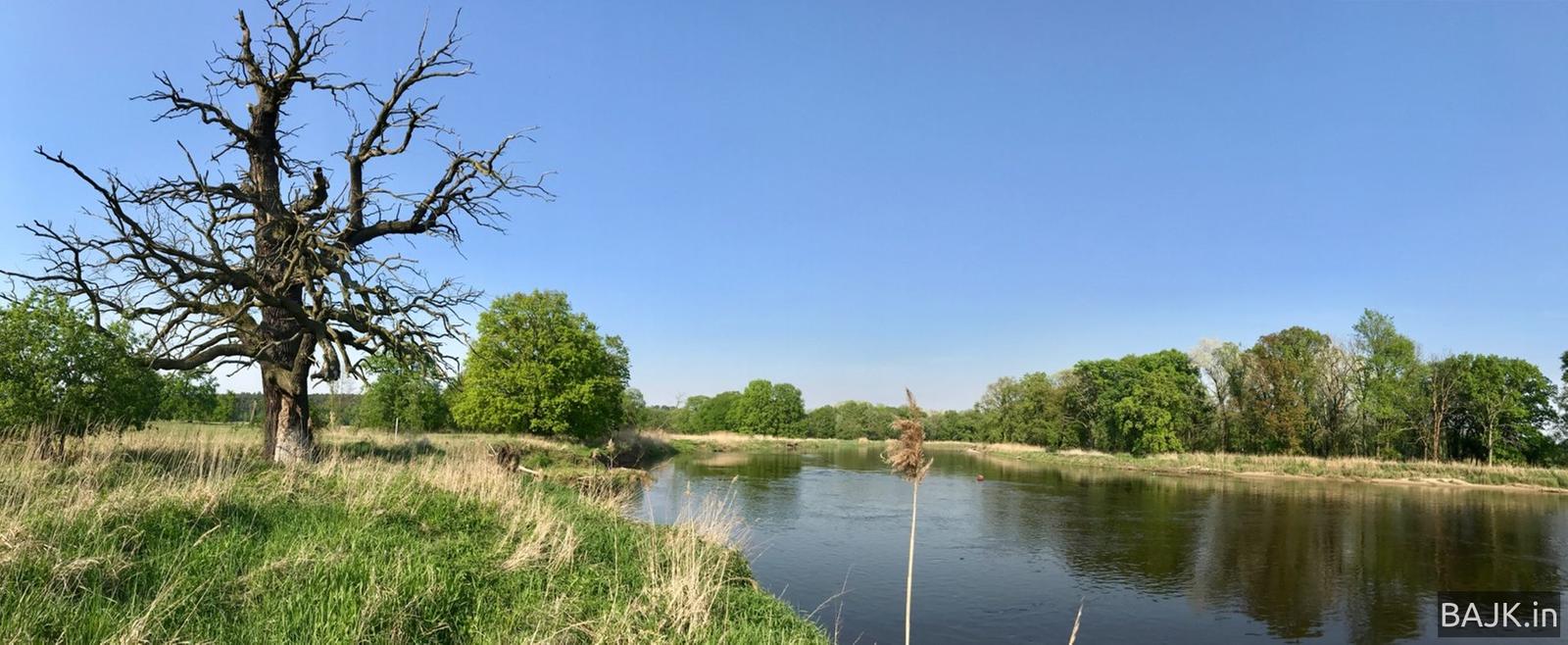 Wzdłuż Warty do Rogalina