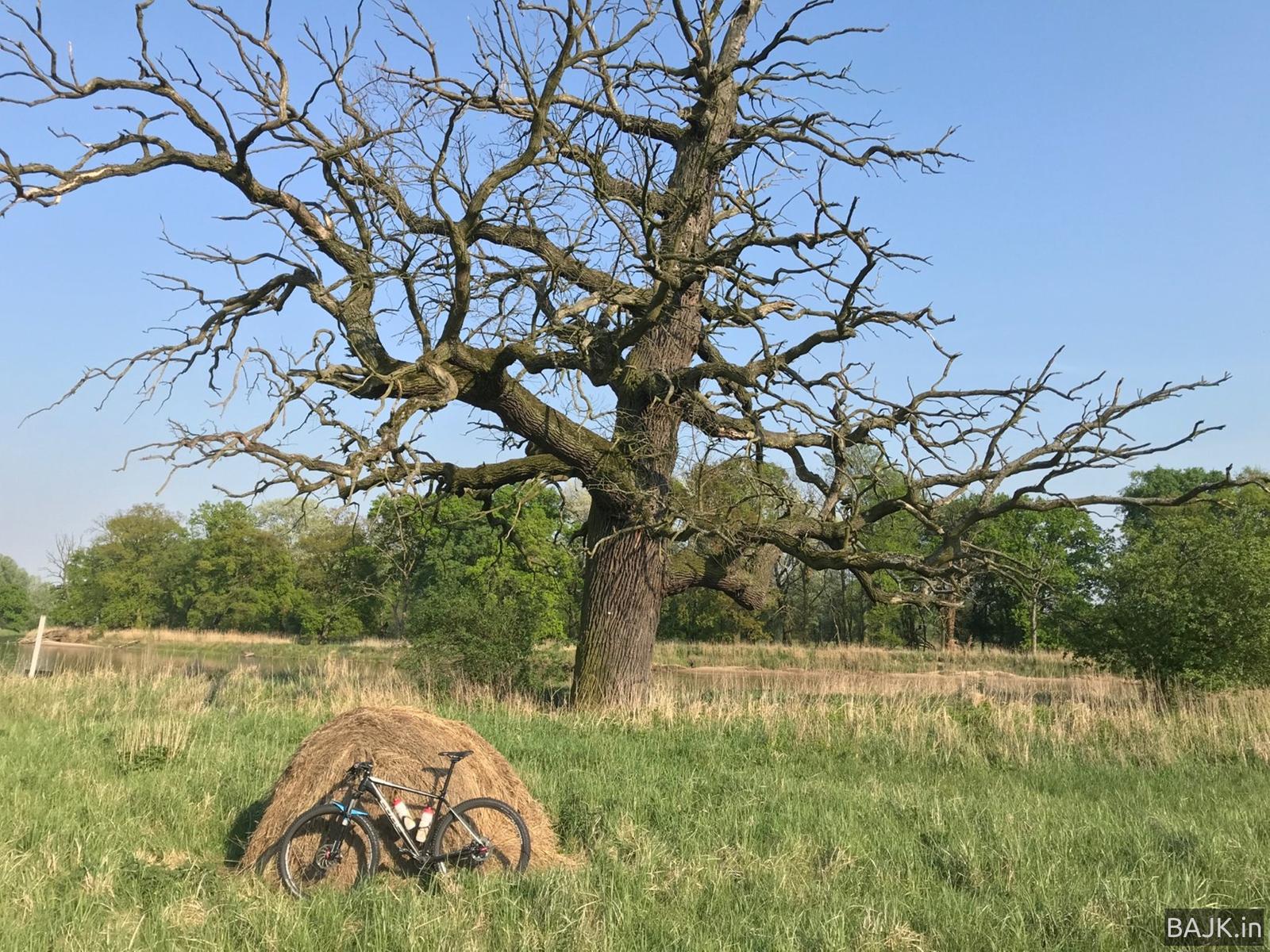 Wzdłuż Warty do Rogalina