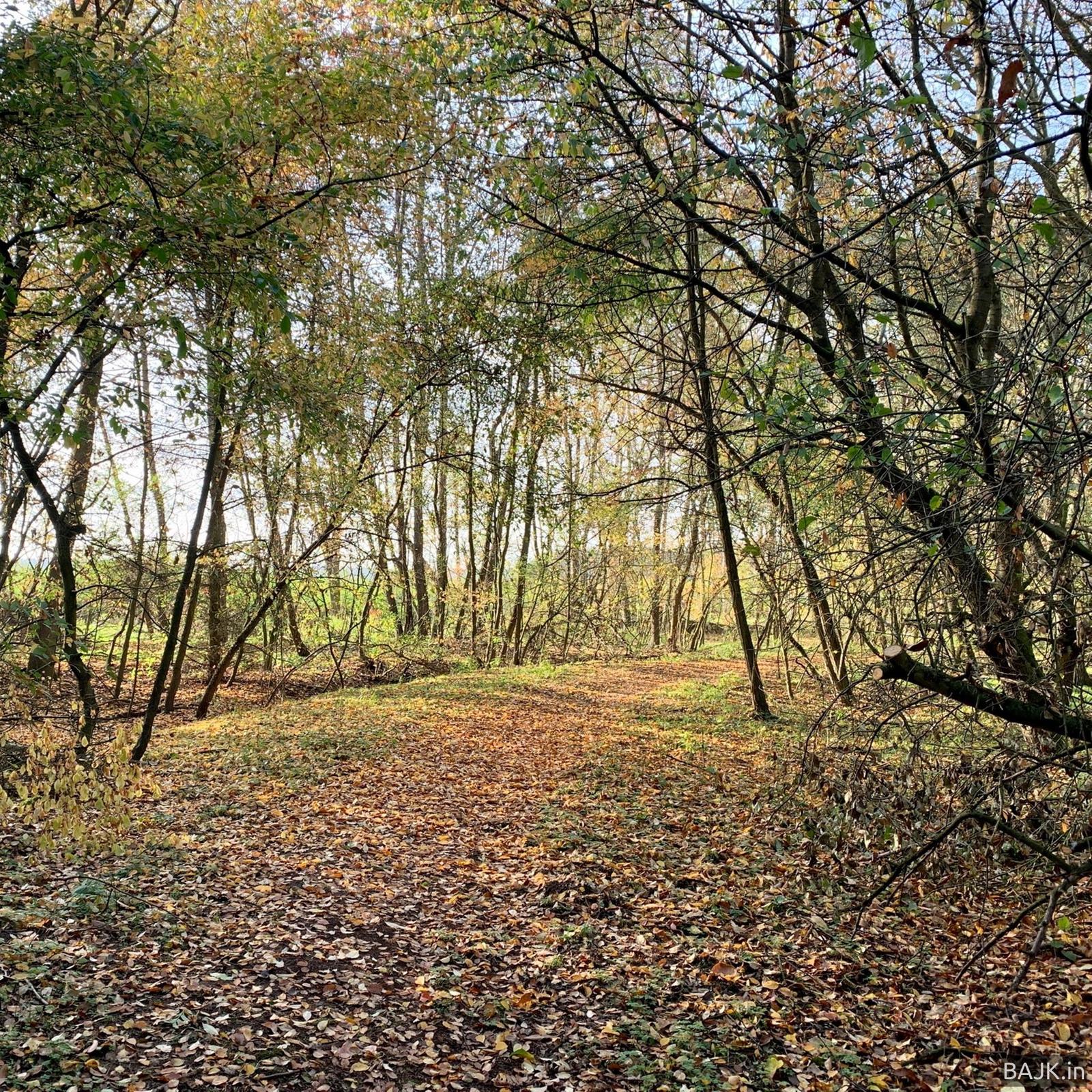 Duathlon Żarnowiec - próba trasy