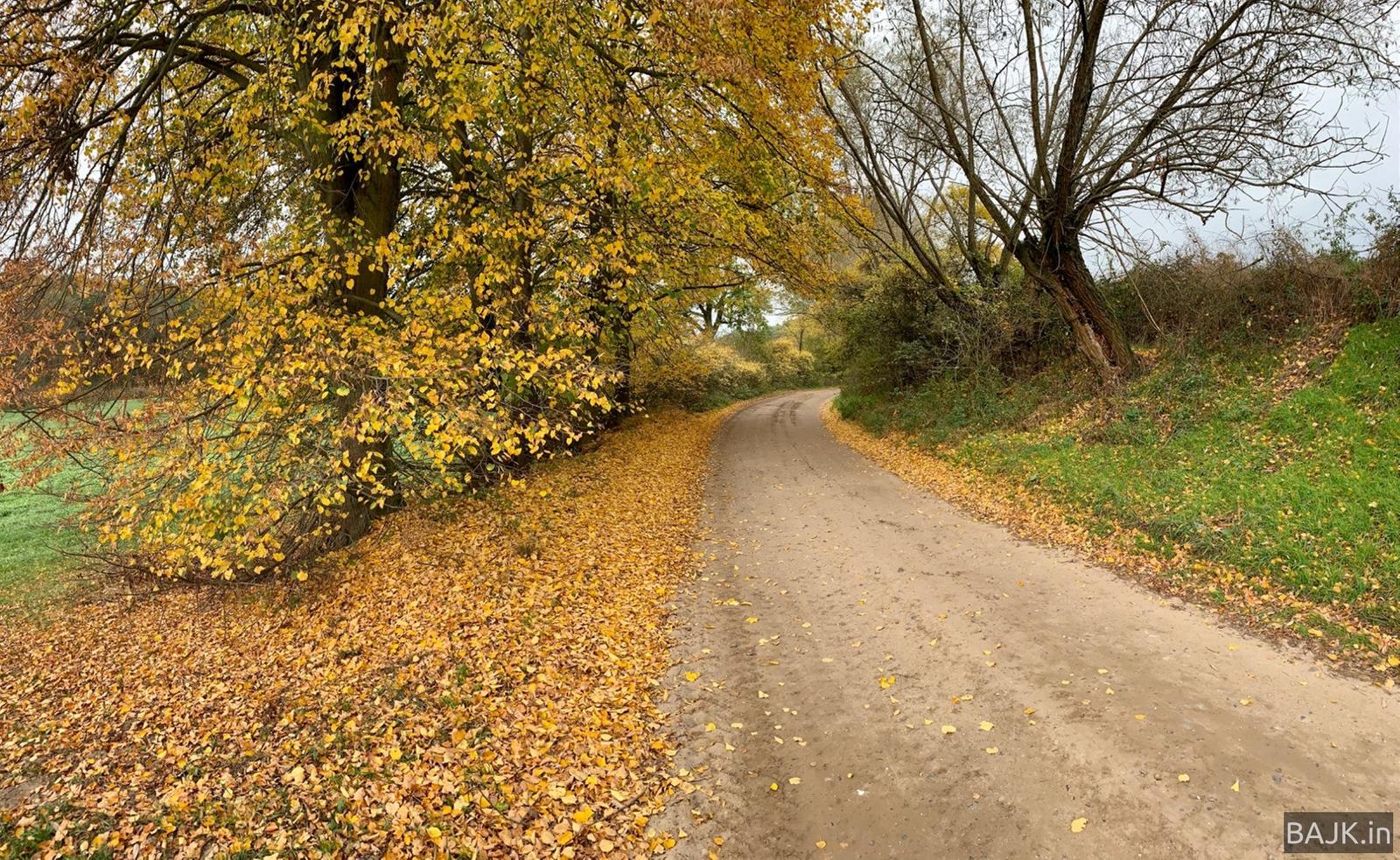 Klasyczne kółko lokalne