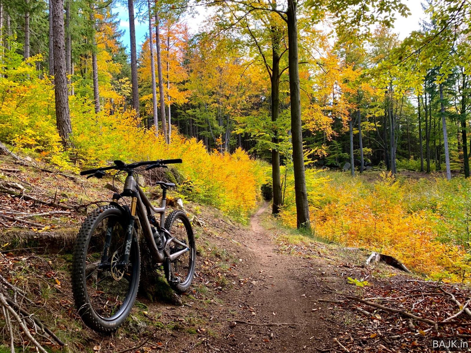 Olbrzymy z Przesieki