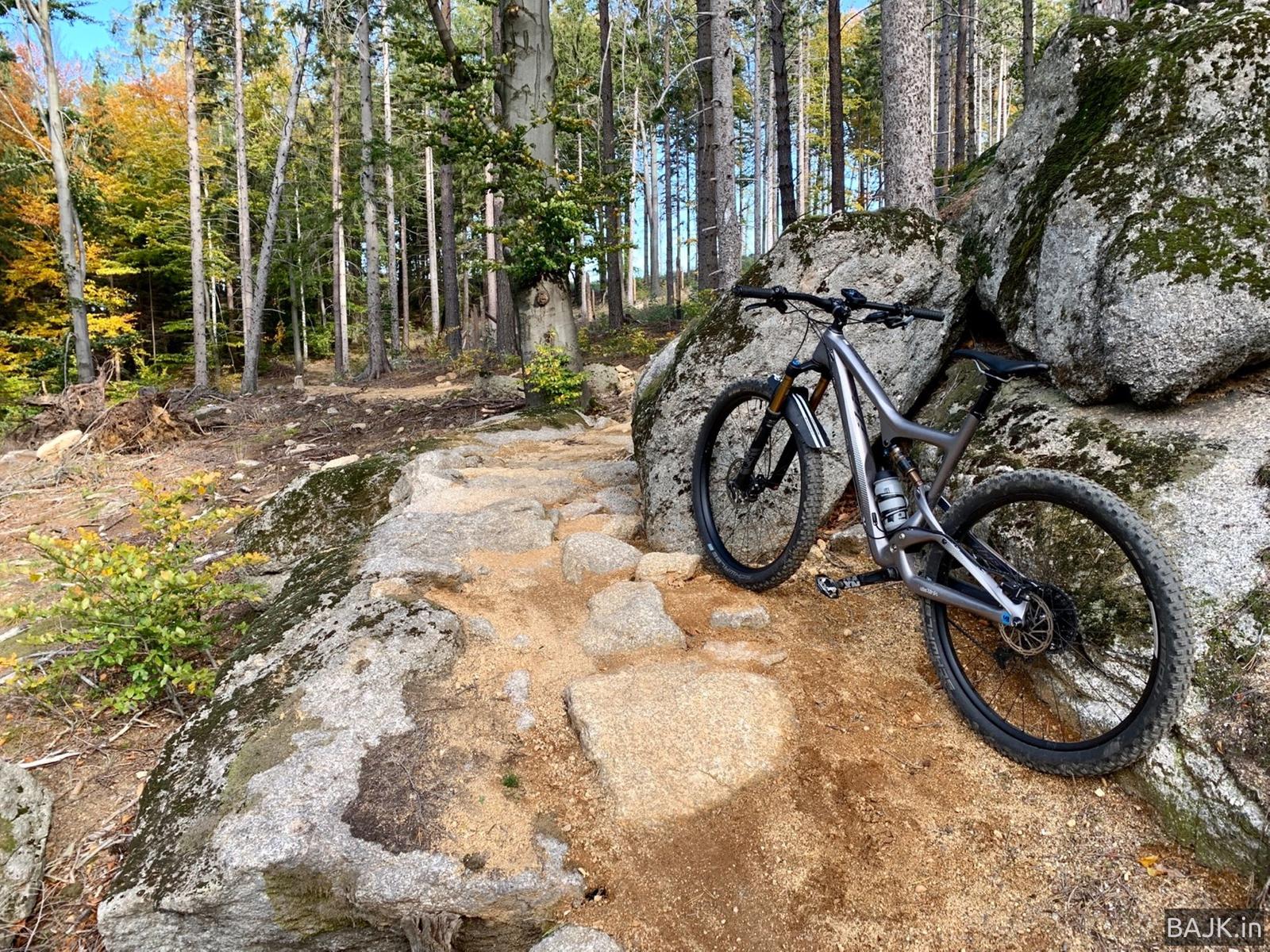 Olbrzymy z Przesieki