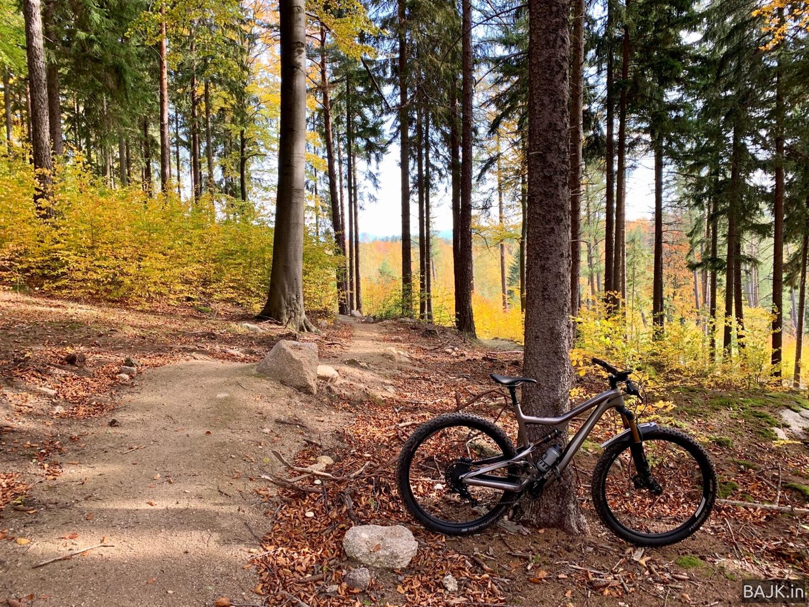 Olbrzymy z Przesieki