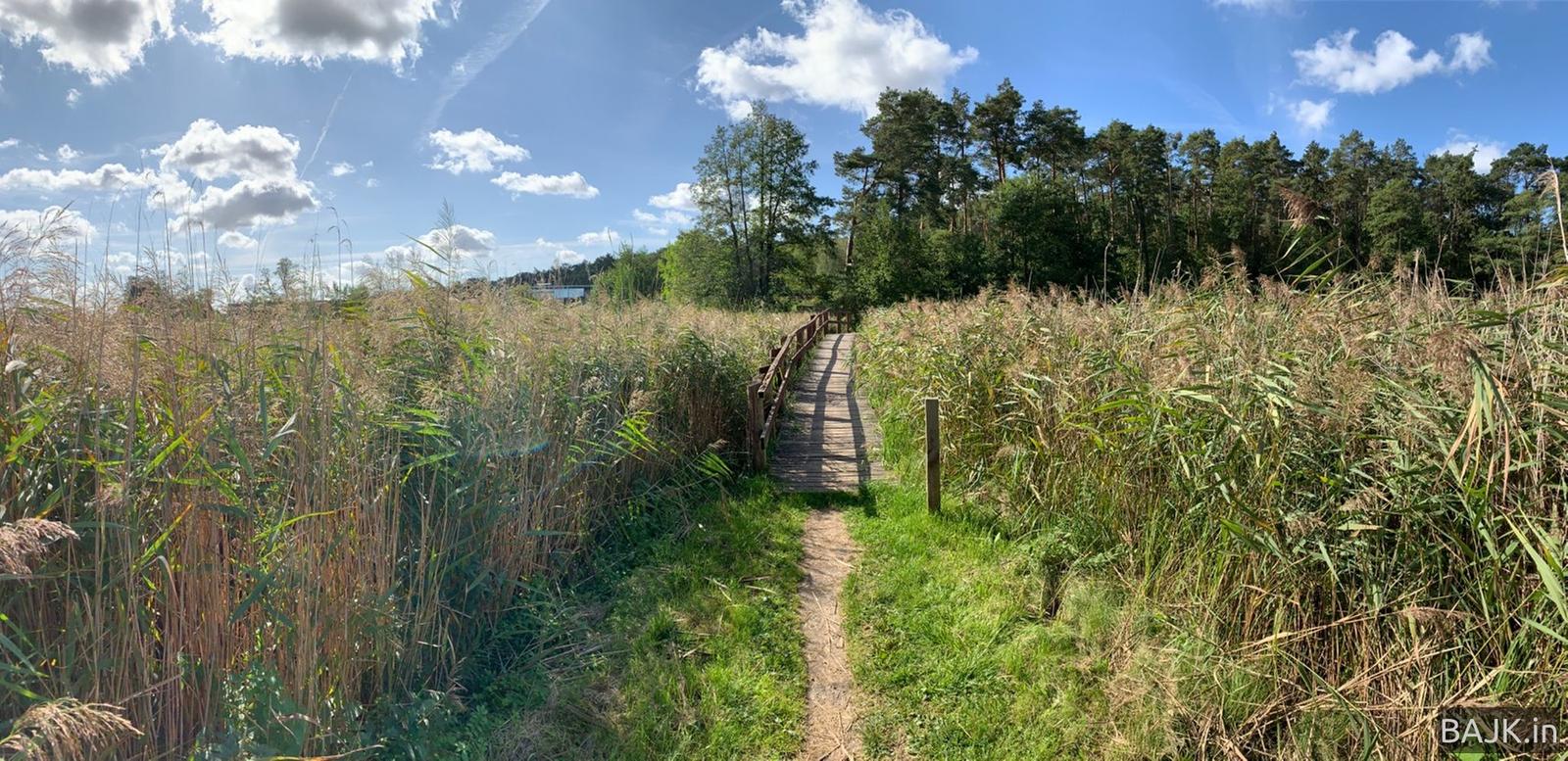 Trochę większe kółko