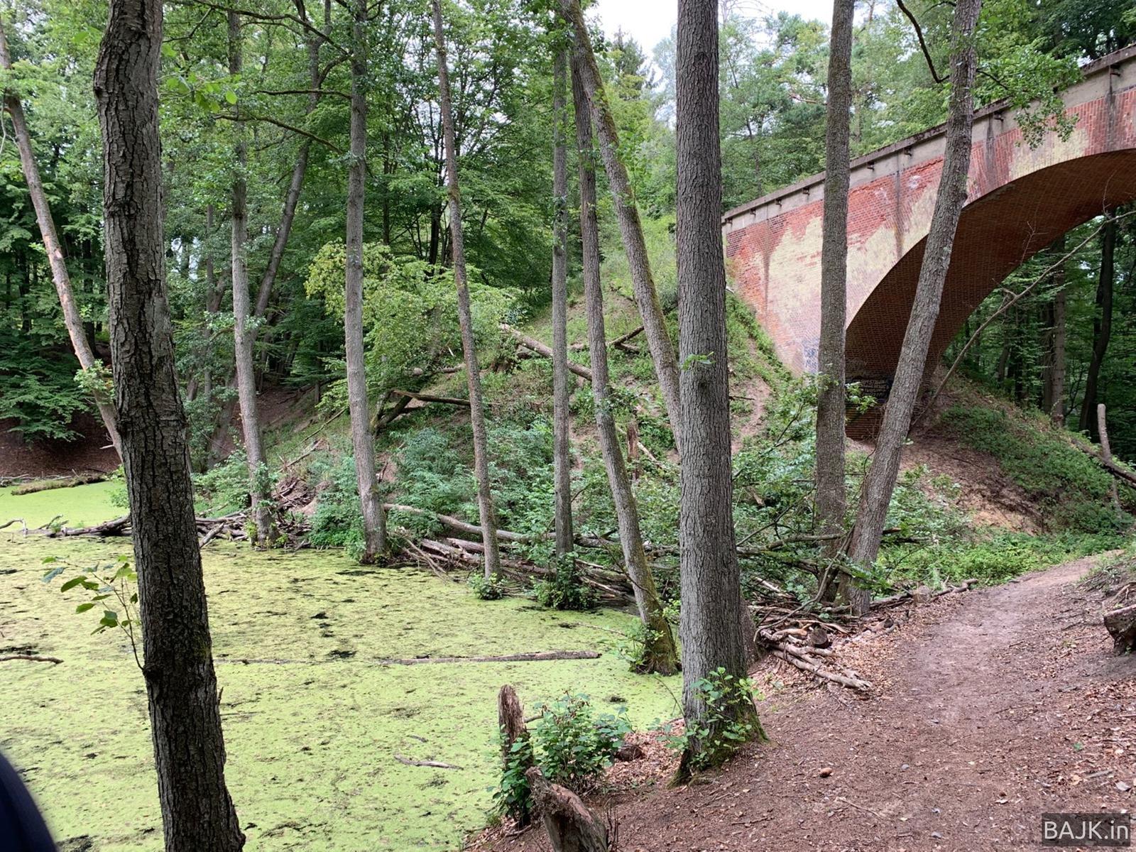 Fajne tereny w okolicach Sulęcina