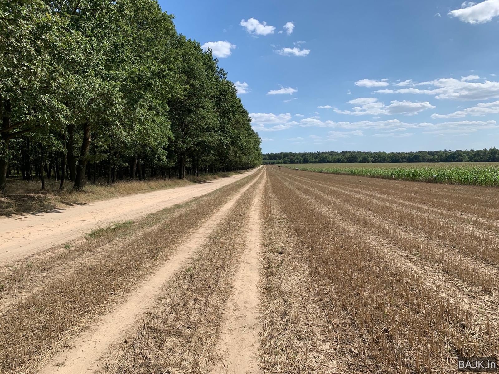 Spokojnie wokół Komina