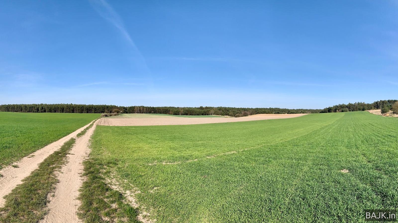 Zamknęli lasy przez pandemię