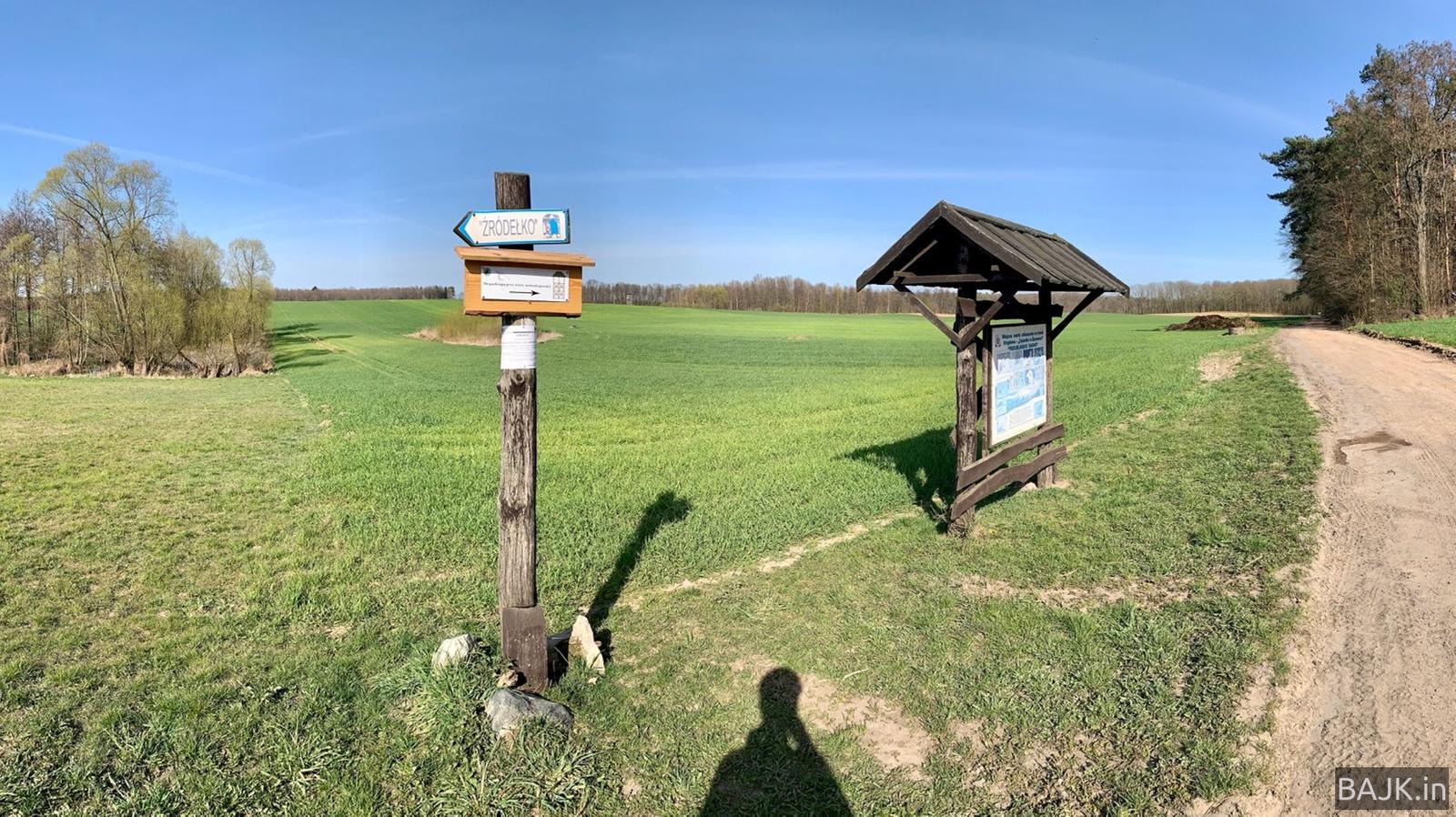 Zamknęli lasy przez pandemię