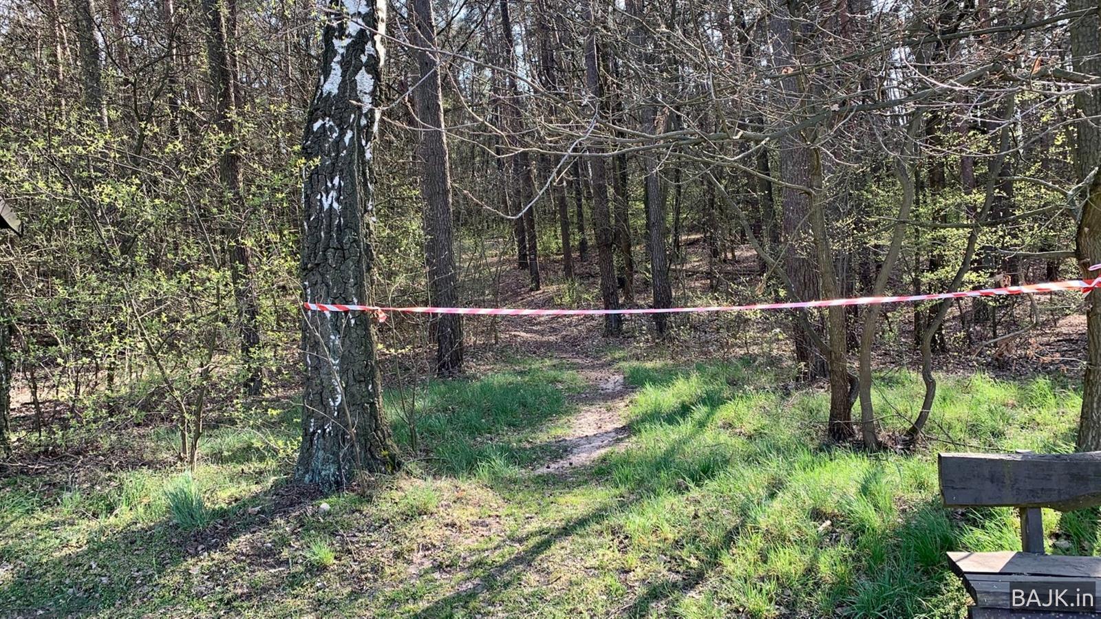 Zamknęli lasy przez pandemię