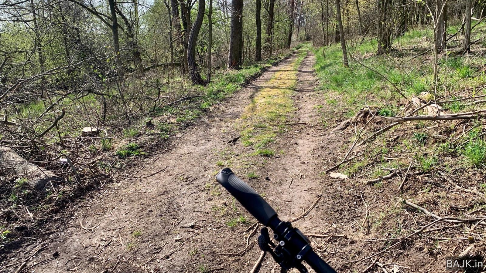 Zamknęli lasy przez pandemię