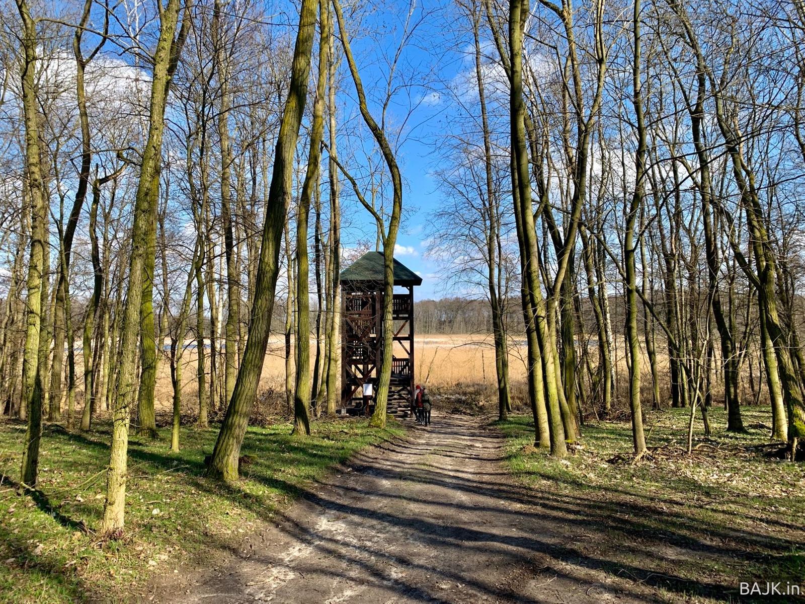 Wieża obserwacyjna WPN