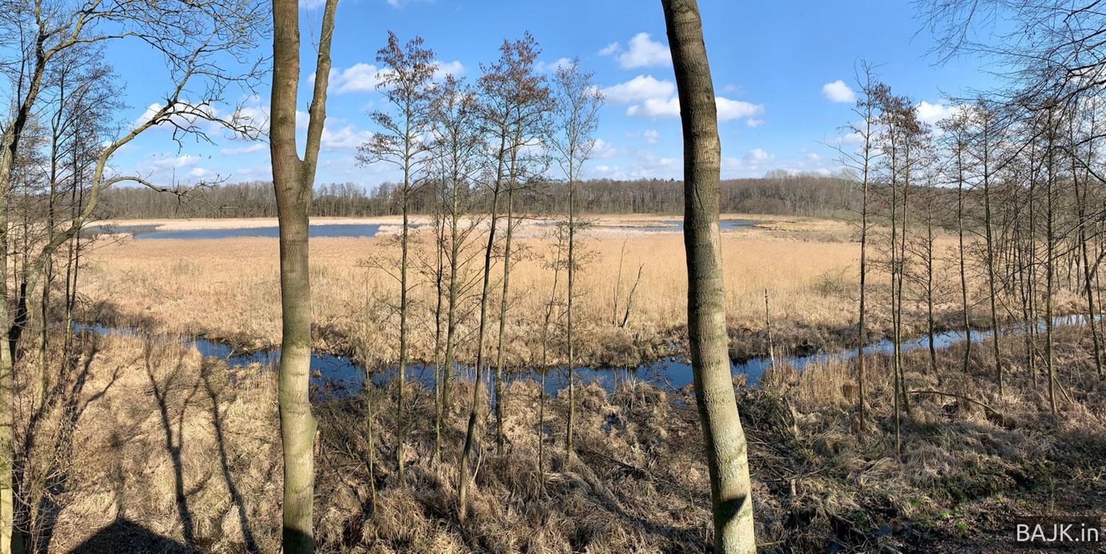 Wieża obserwacyjna WPN