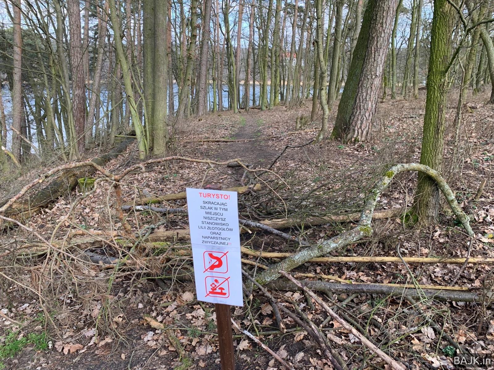 Wieża obserwacyjna WPN