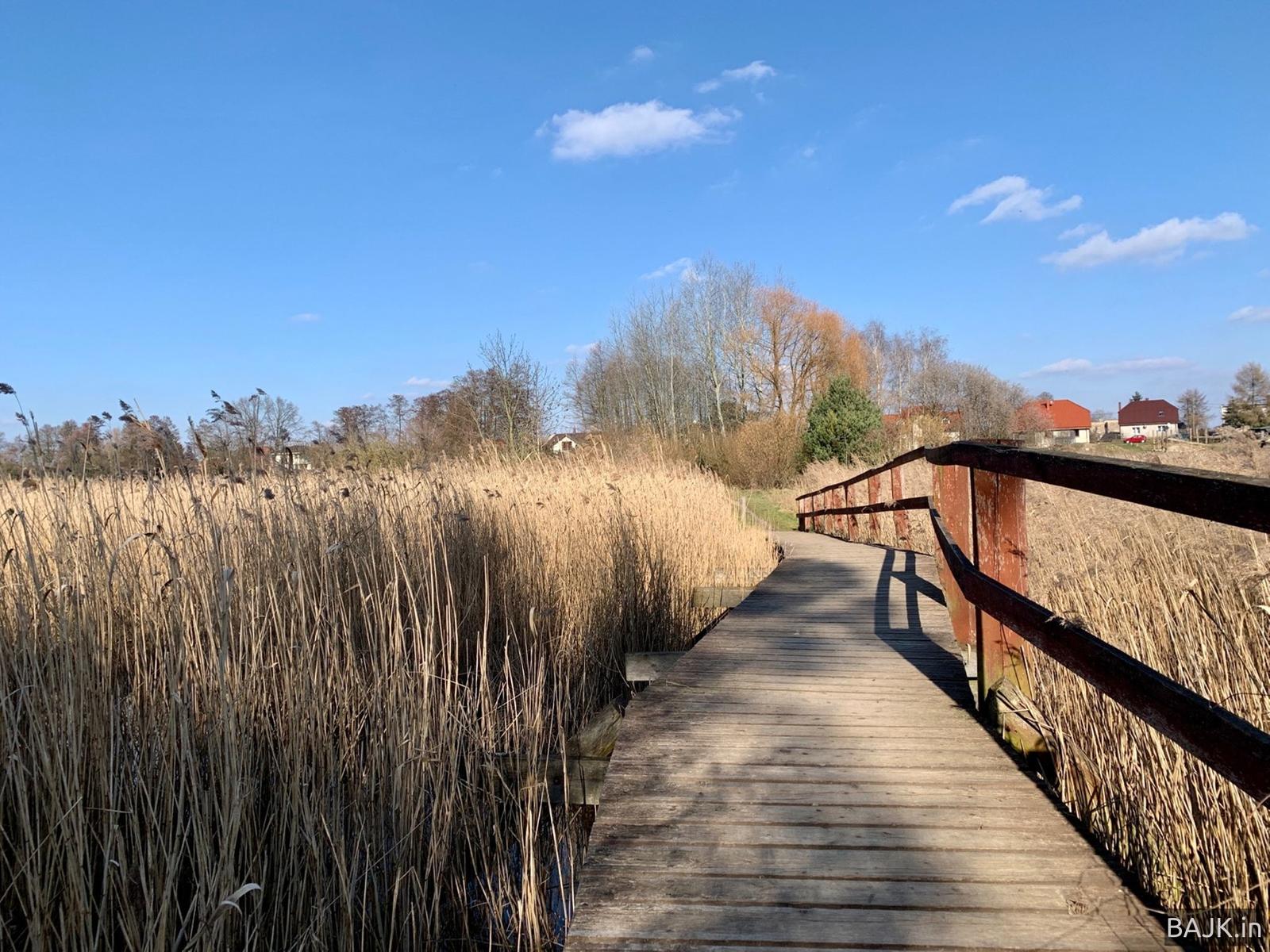 Wieża obserwacyjna WPN