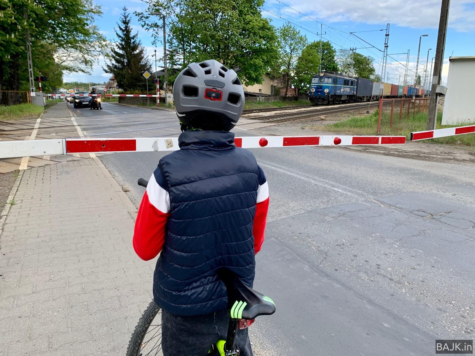 Las Zakrzewsko-Palędzki