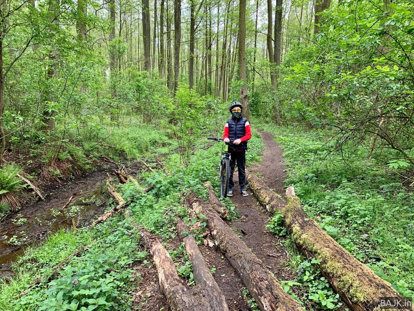 Las Zakrzewsko-Palędzki