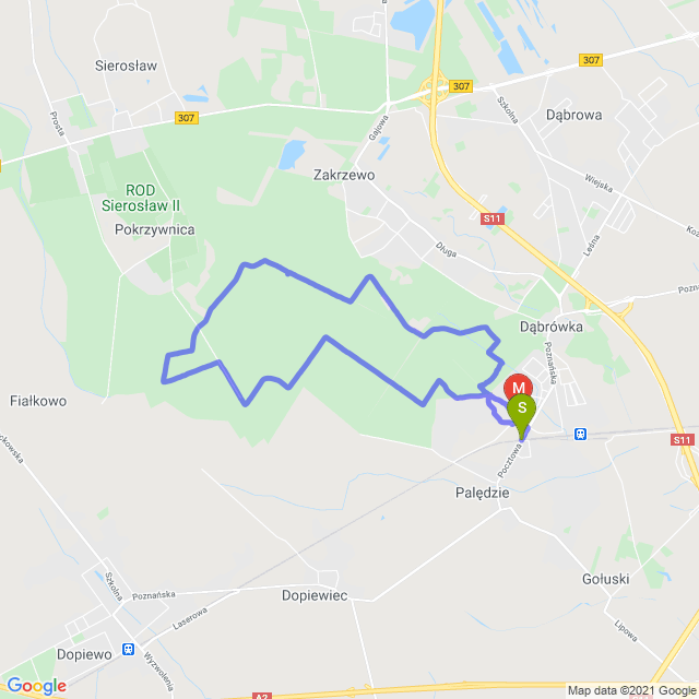 Mapa trasy Las Zakrzewsko-Palędzki