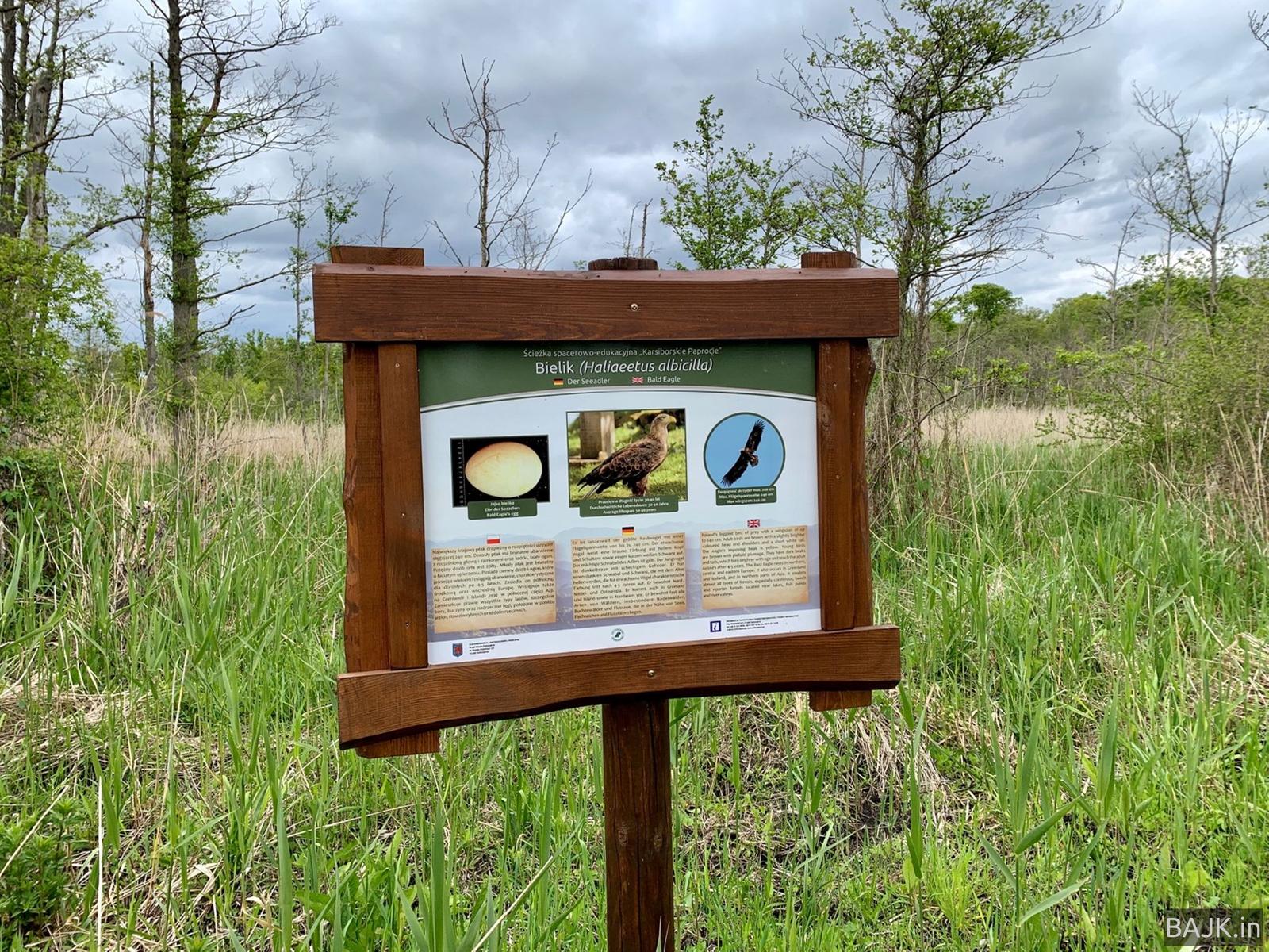 Na południe od Świnoujścia