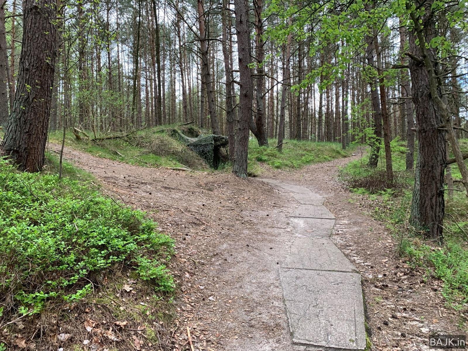 Ze Świnoujścia do Międzyzdrojów