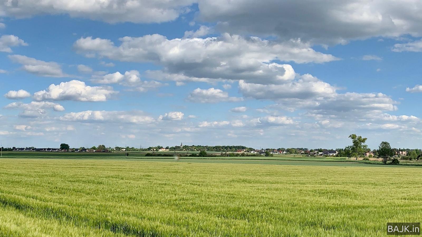 Lokalnie po gminie Dopiewo