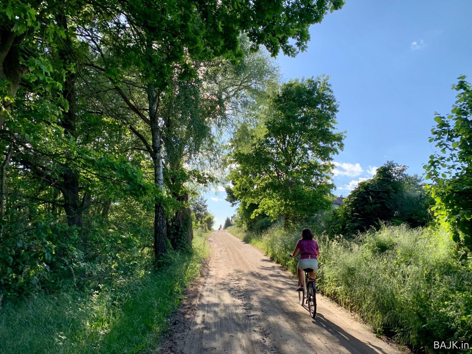 Dookoła Lusowskiego