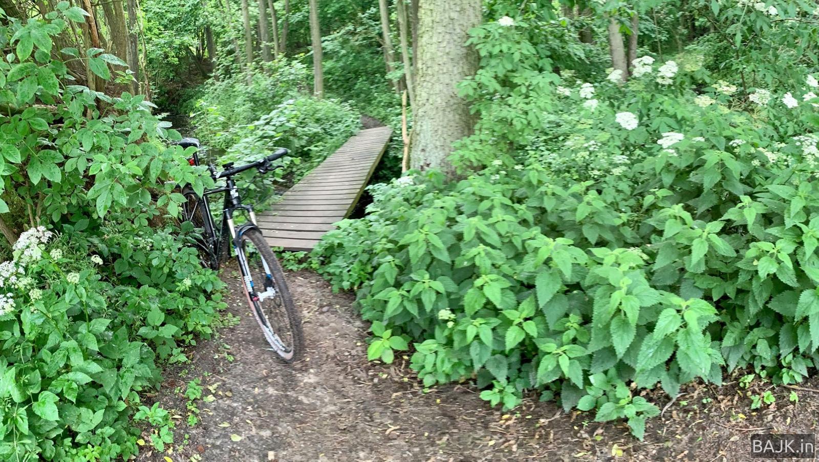 Wokół komina plus pływanie