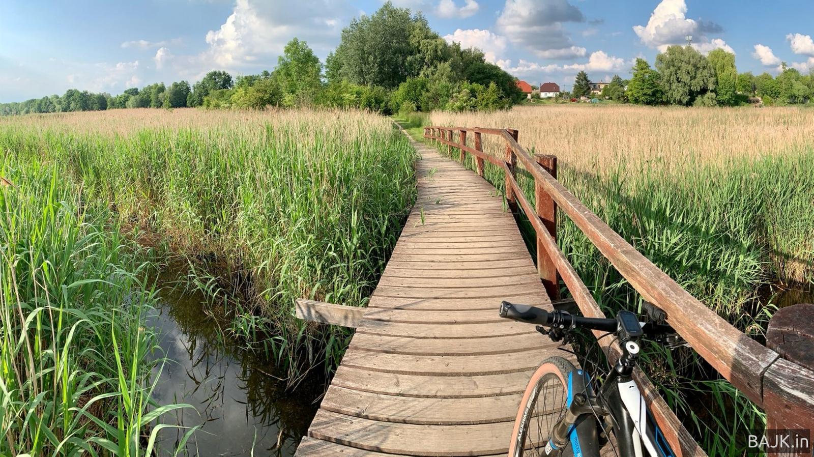 Wypalanki Chomęcice