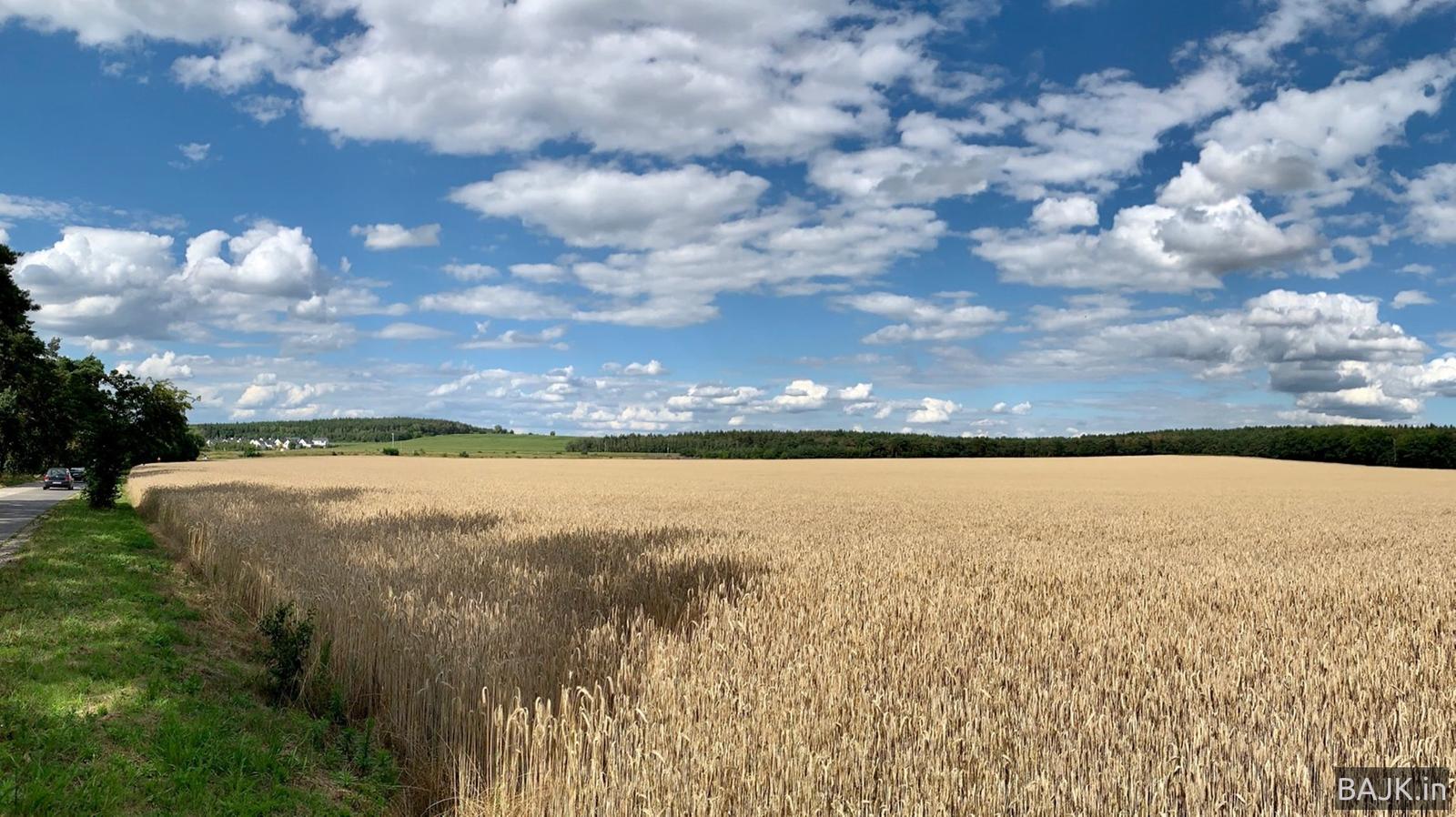 Kółko przez Szachty