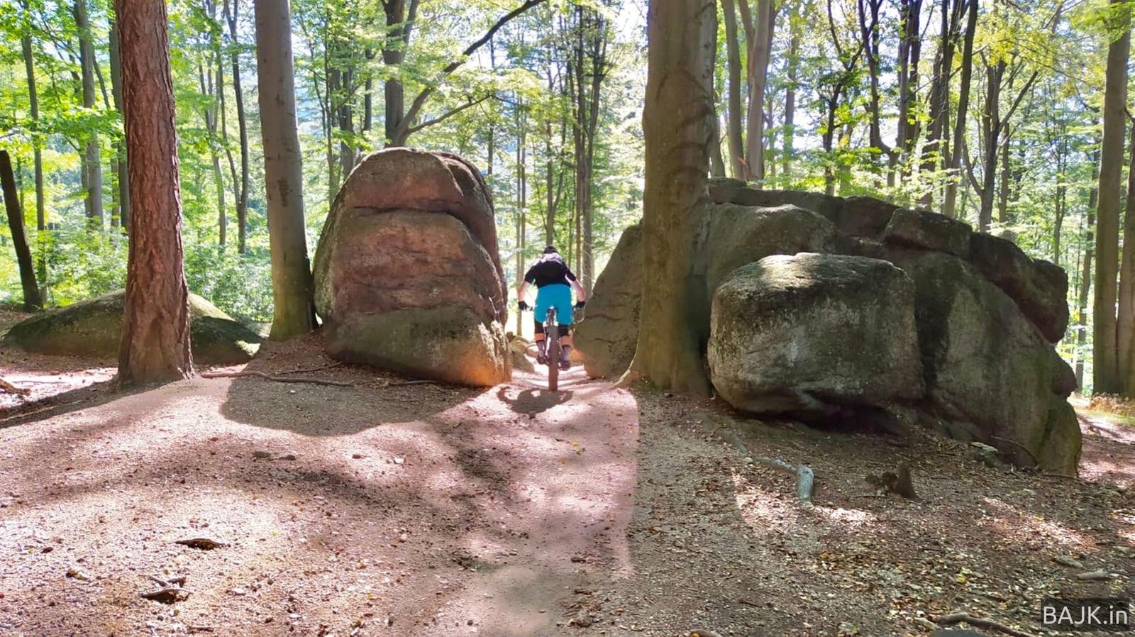 Singltrek pod Smrkem