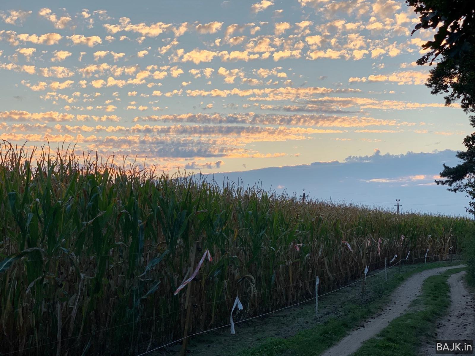 Połowa września i WPN