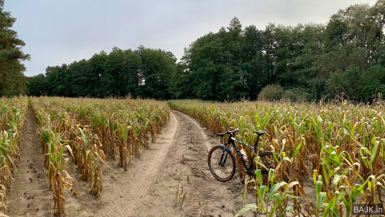 Kręcenie w Żarnowcu