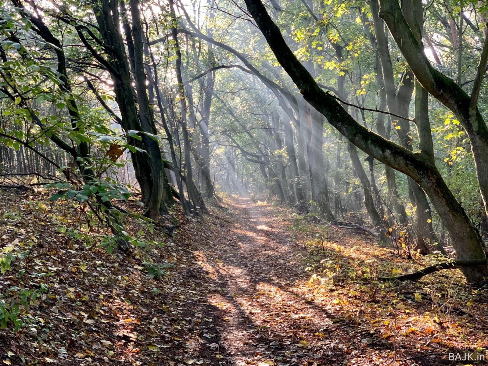 Kapitalna jesień w WPN 🍁