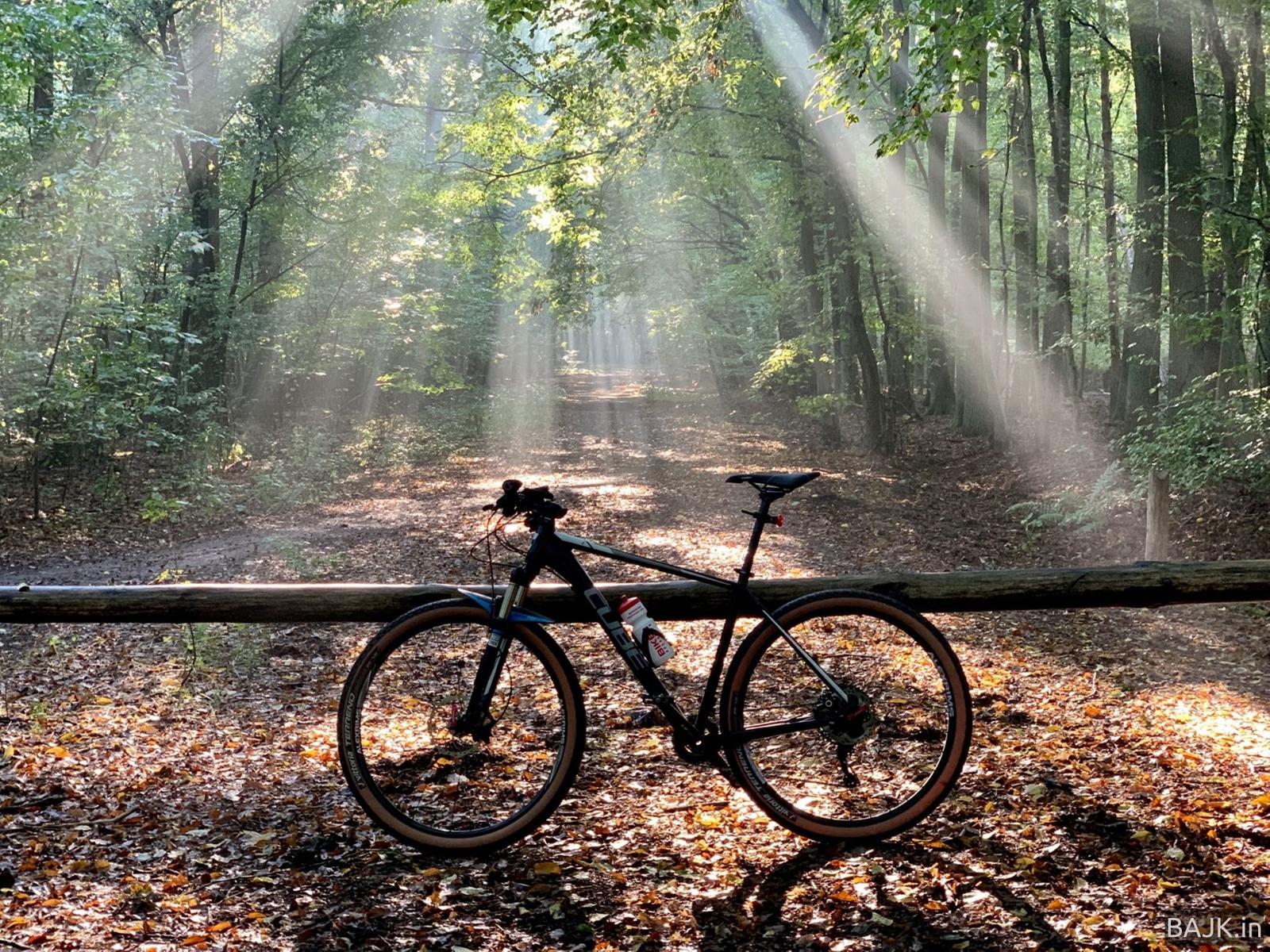Kapitalna jesień w WPN 🍁