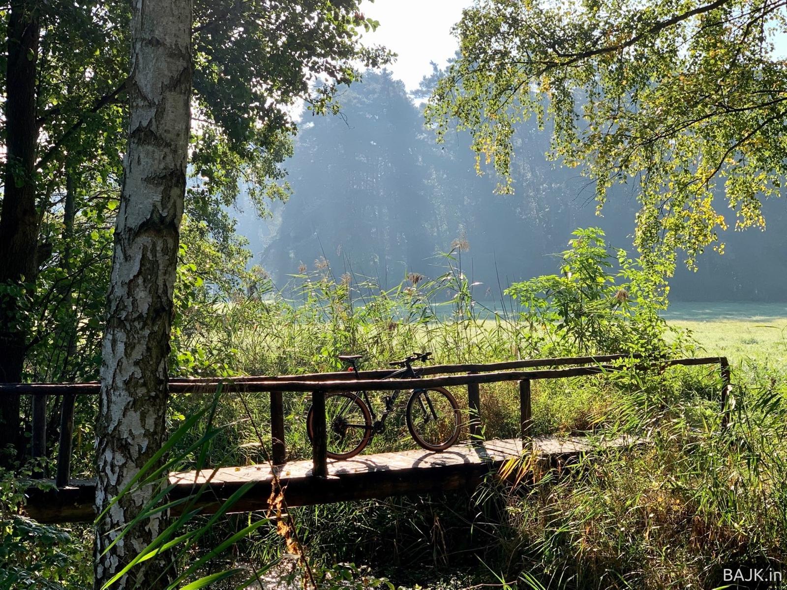 Kapitalna jesień w WPN 🍁