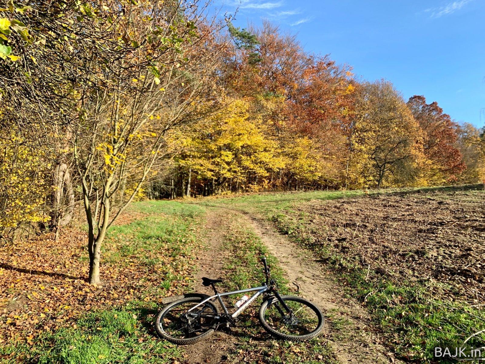 Klasyczny WPN listopadowy