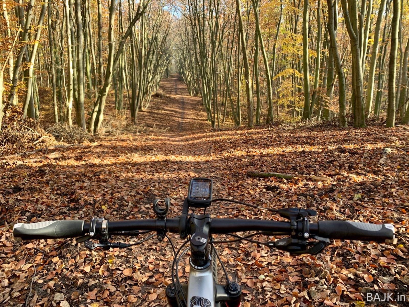 Klasyczny WPN listopadowy