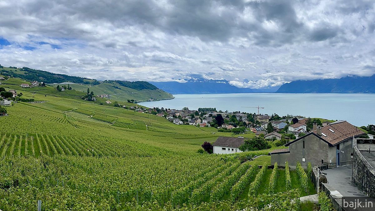 Winnice w Lavaux nad jez. Genewskim