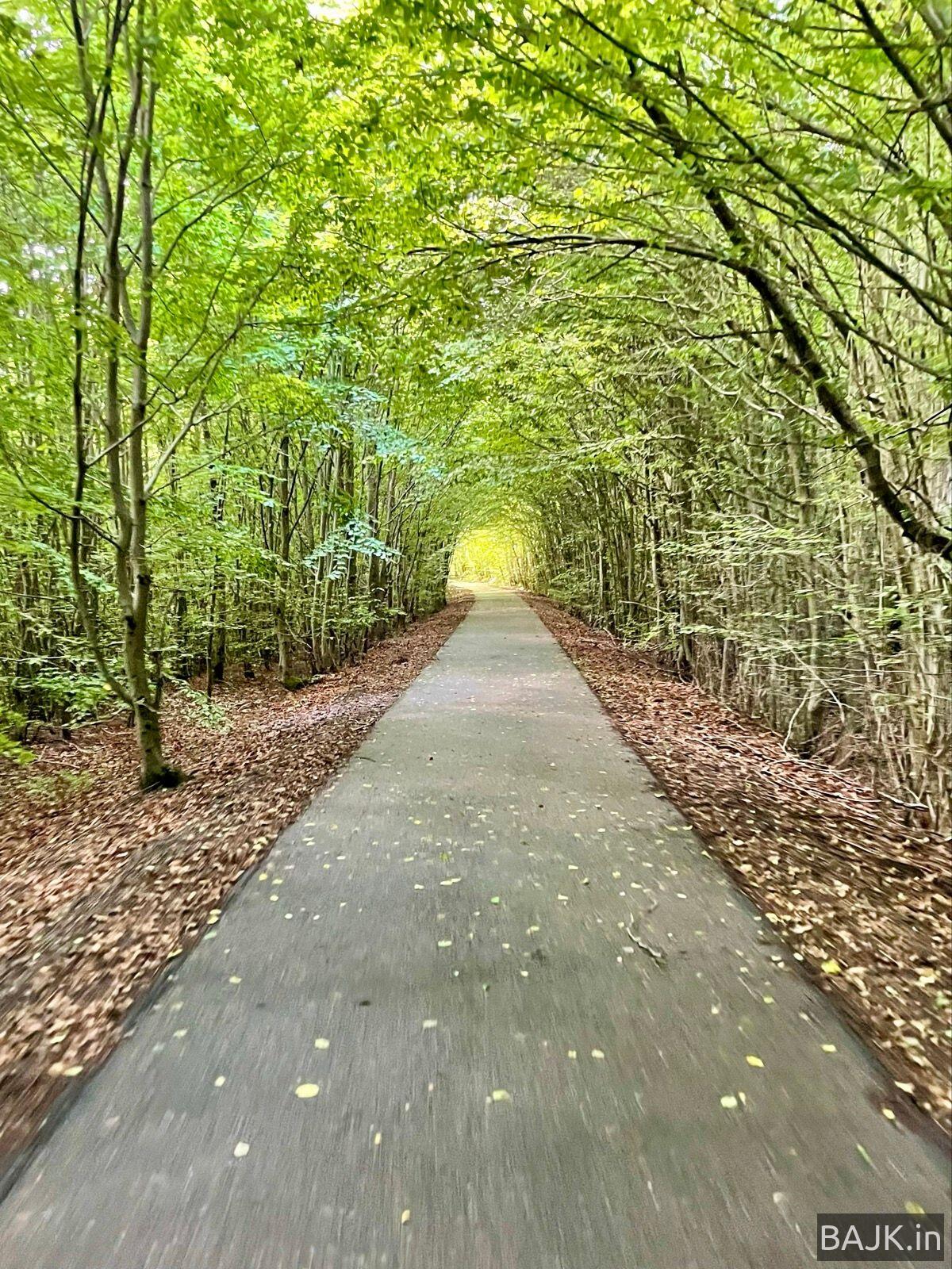 Z Kołobrzegu do Chodzieży trasą nr 15