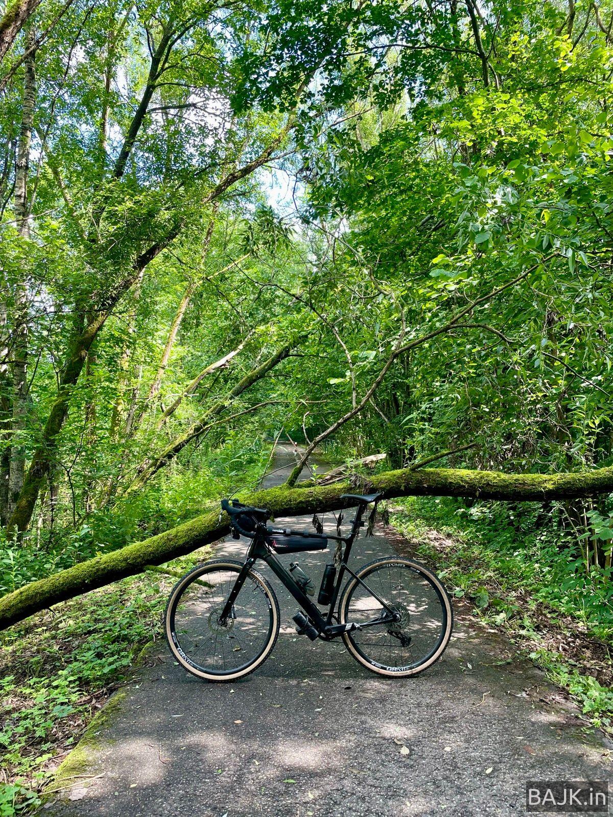 Z Kołobrzegu do Chodzieży trasą nr 15