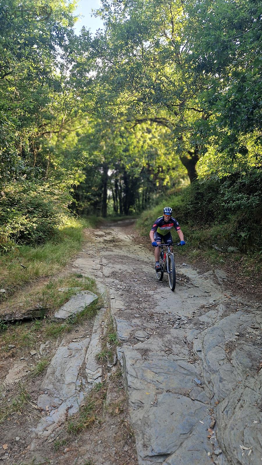 Droga św. Jakuba - Camino de Santiago - Camino Francés